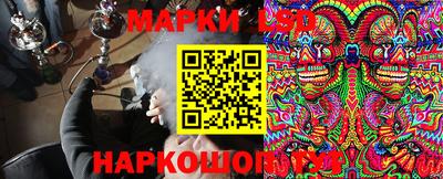 эйфоретик Донской
